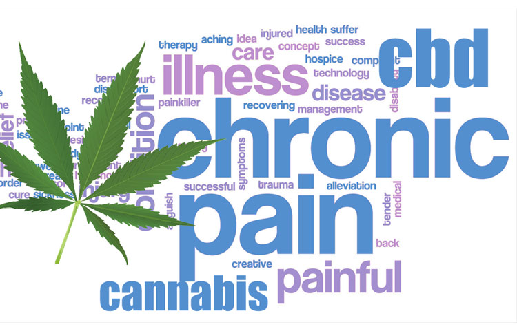 Cannabis's leaf with texts.