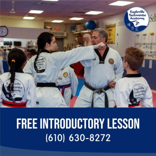 Free Introductory Taekwondo Lesson at Eagleville Taekwondo Academy